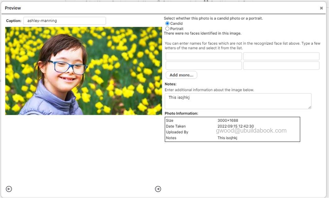 The Preview dialog on the Photo Post tab.