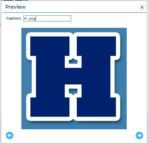 The Preview/Info dialog will appear.